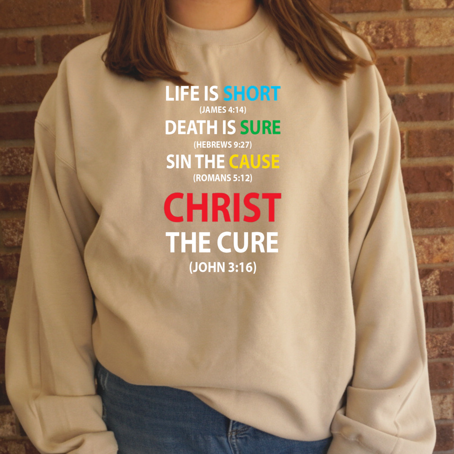 Christ the Cure Sweatshirt (no hood)